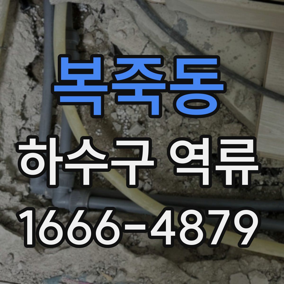 복죽동 하수구 역류
