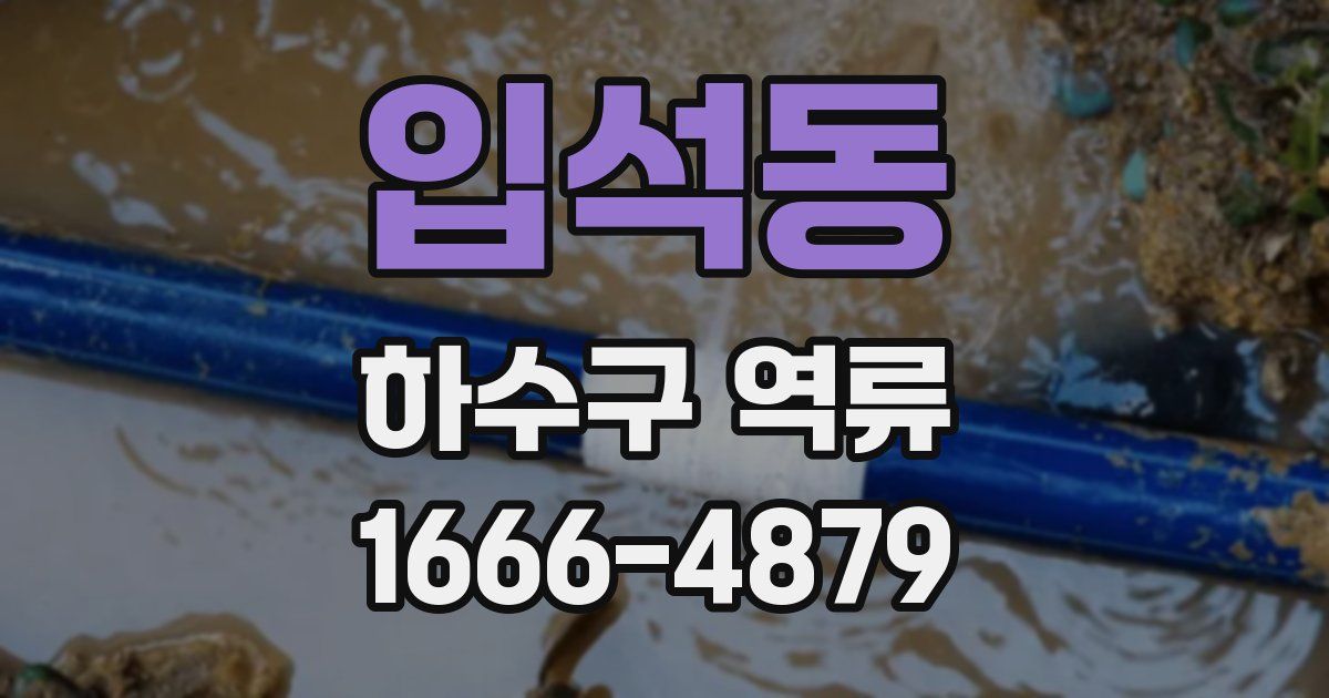 입석동 하수구 역류