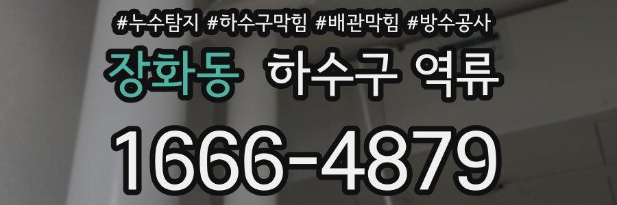 장화동 하수구 역류