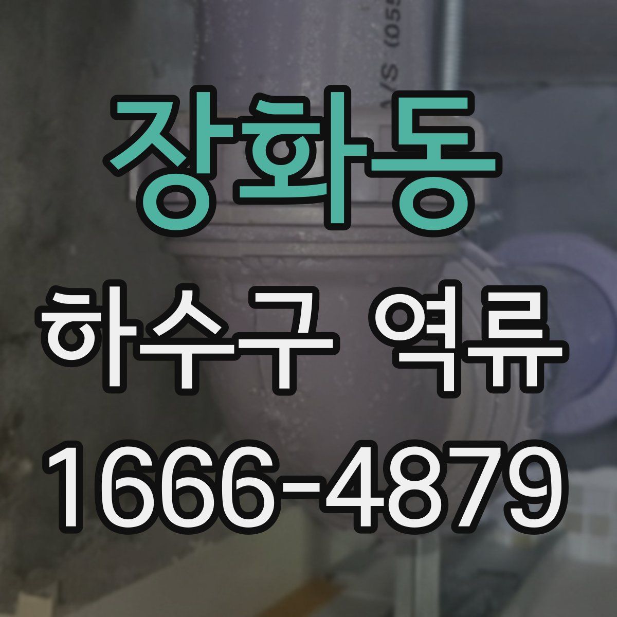 장화동 하수구 역류