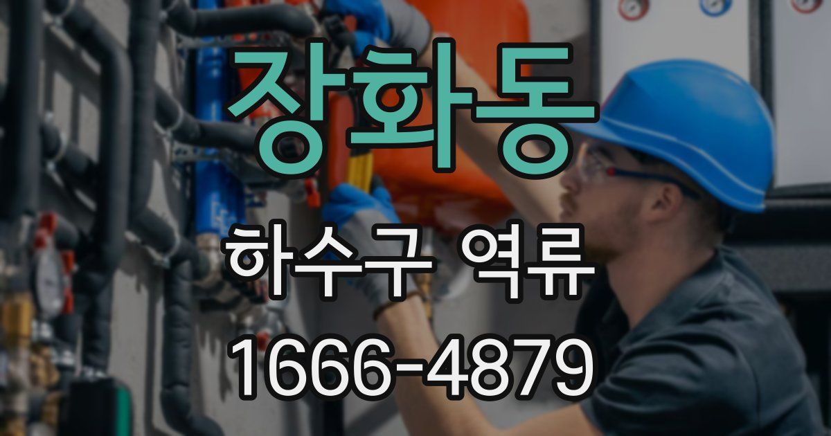 장화동 하수구 역류