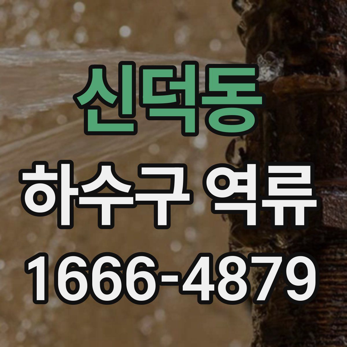 신덕동 하수구 역류