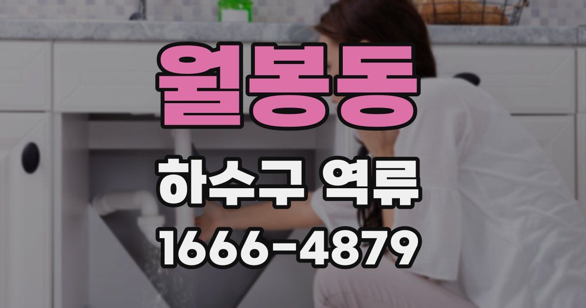 월봉동 하수구 역류