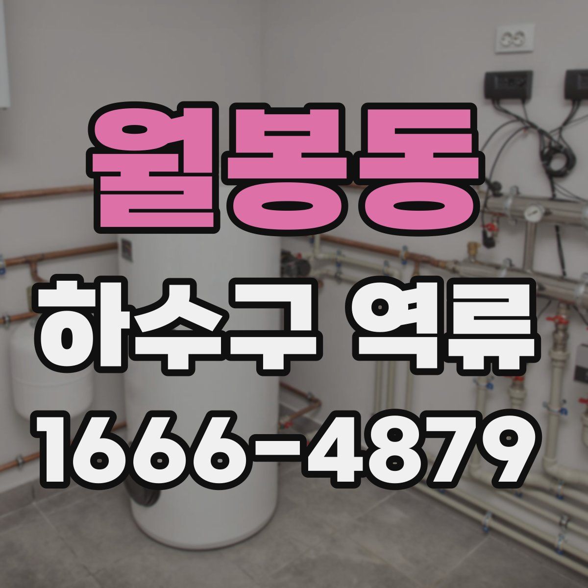 월봉동 하수구 역류