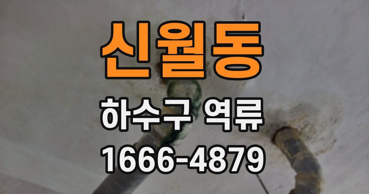 신월동 하수구 역류