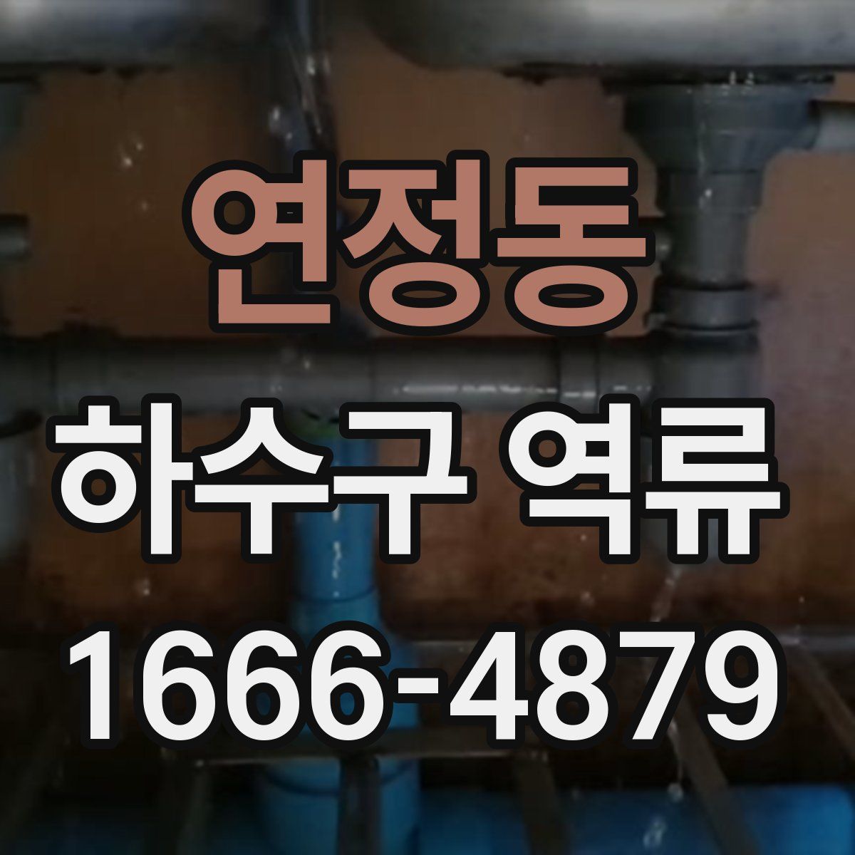 연정동 하수구 역류