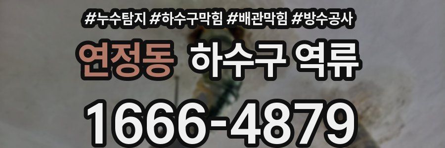 연정동 하수구 역류