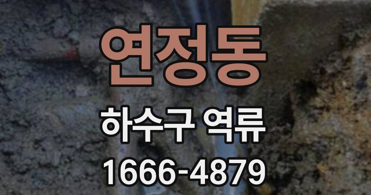 연정동 하수구 역류
