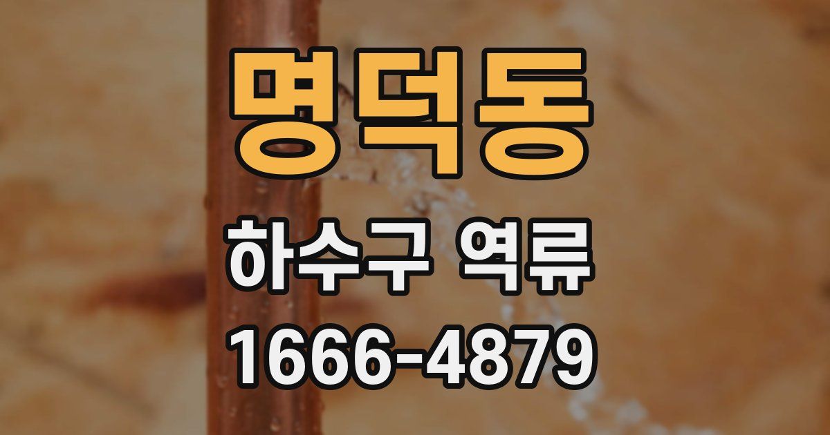 명덕동 하수구 역류
