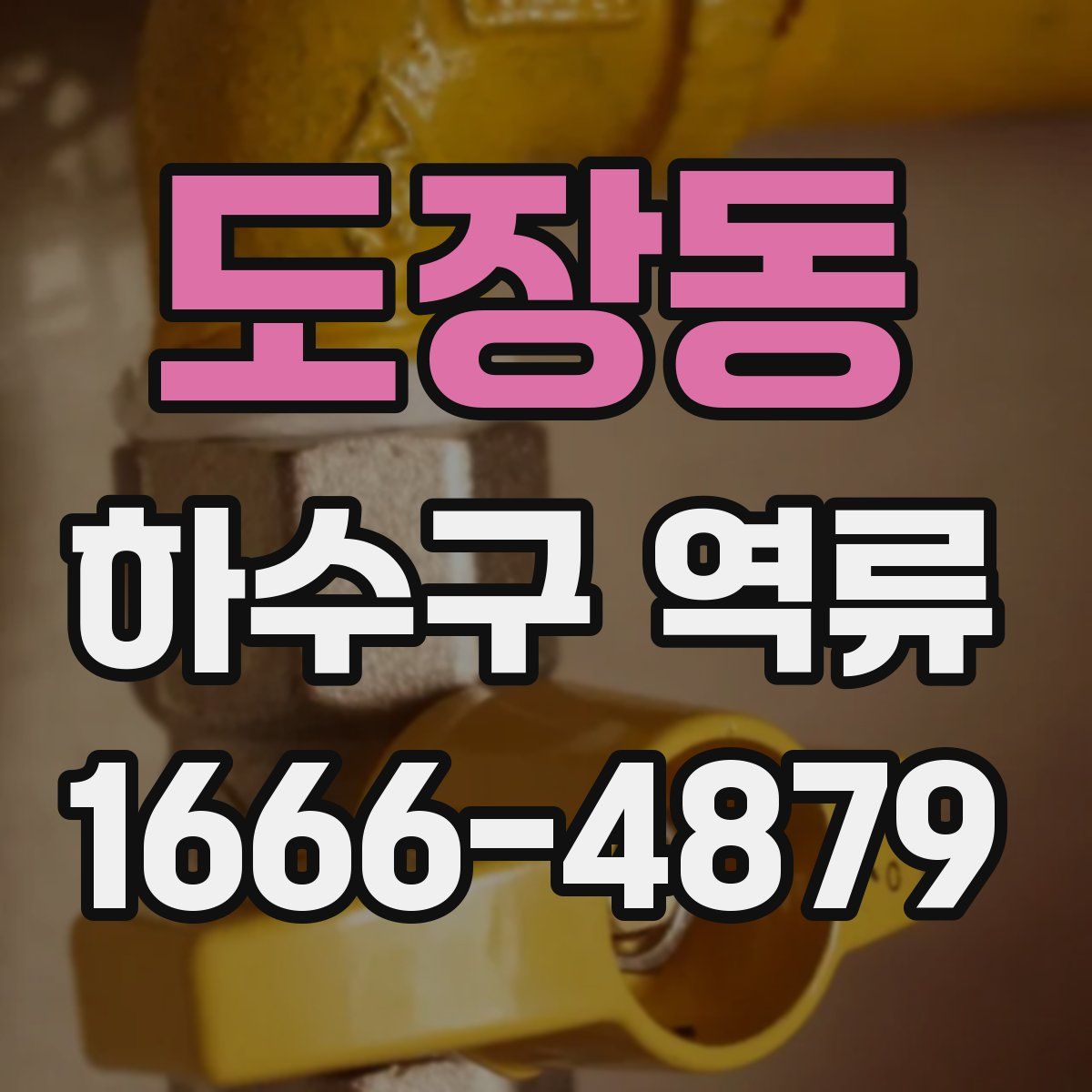 도장동 하수구 역류