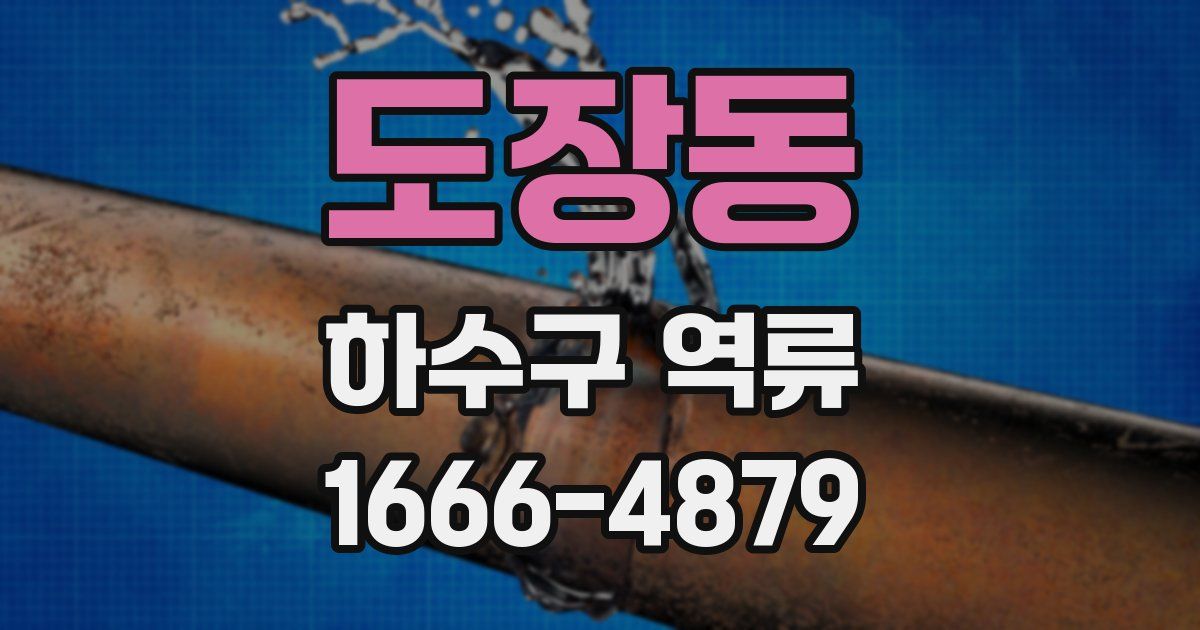 도장동 하수구 역류