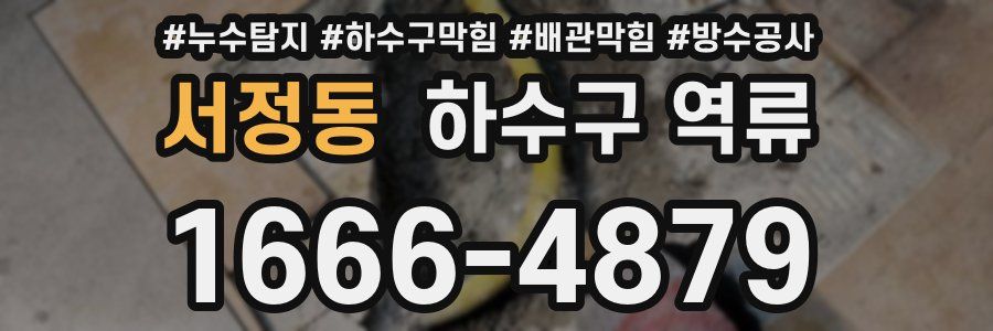 서정동 하수구 역류