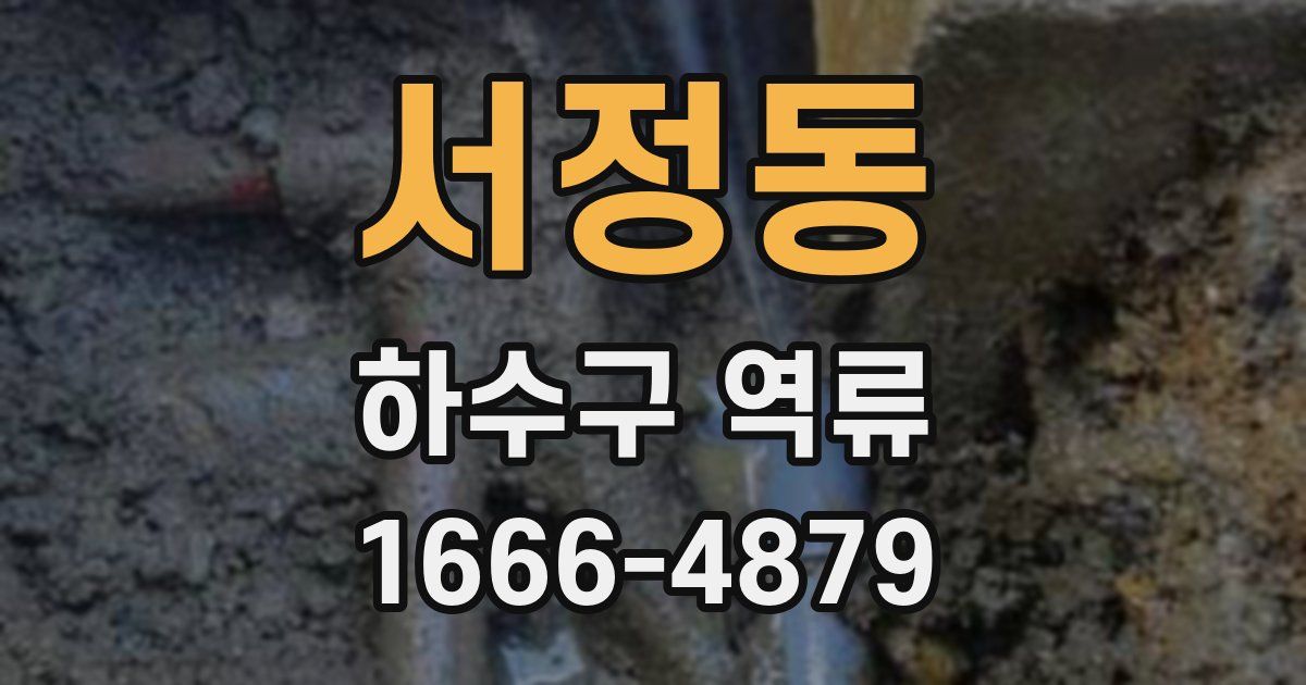 서정동 하수구 역류