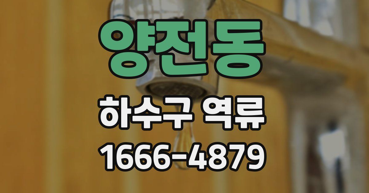 양전동 하수구 역류