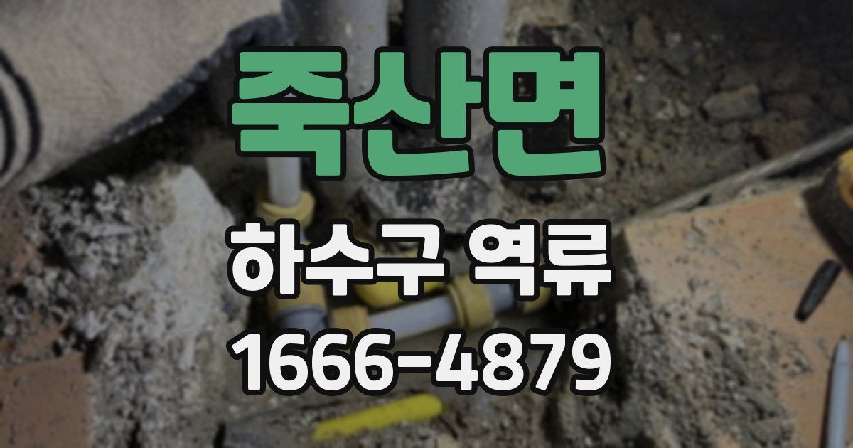 죽산면 하수구 역류