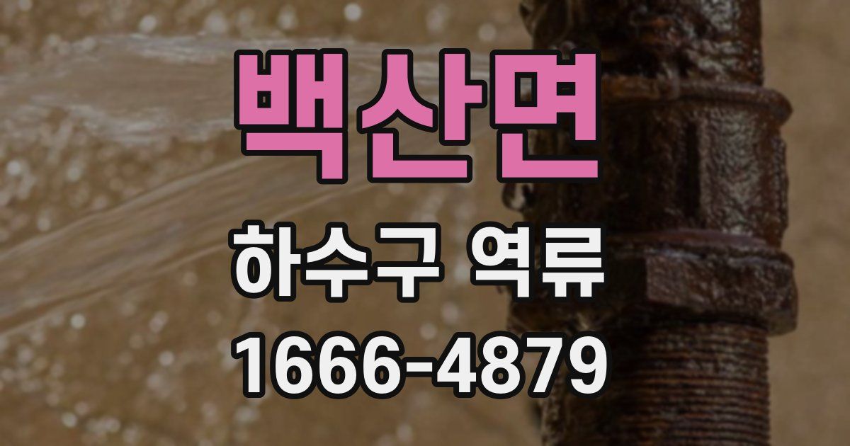 백산면 하수구 역류