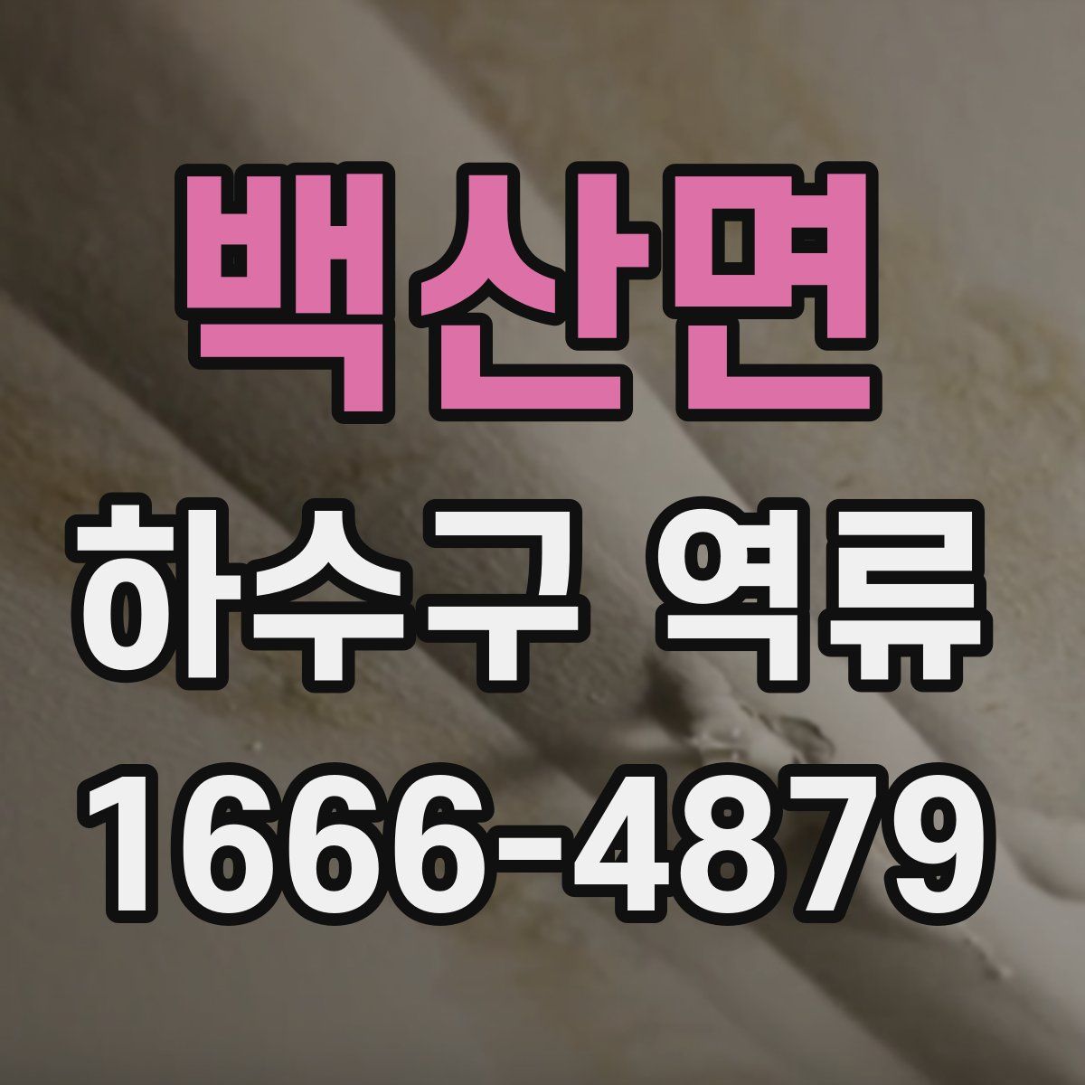 백산면 하수구 역류