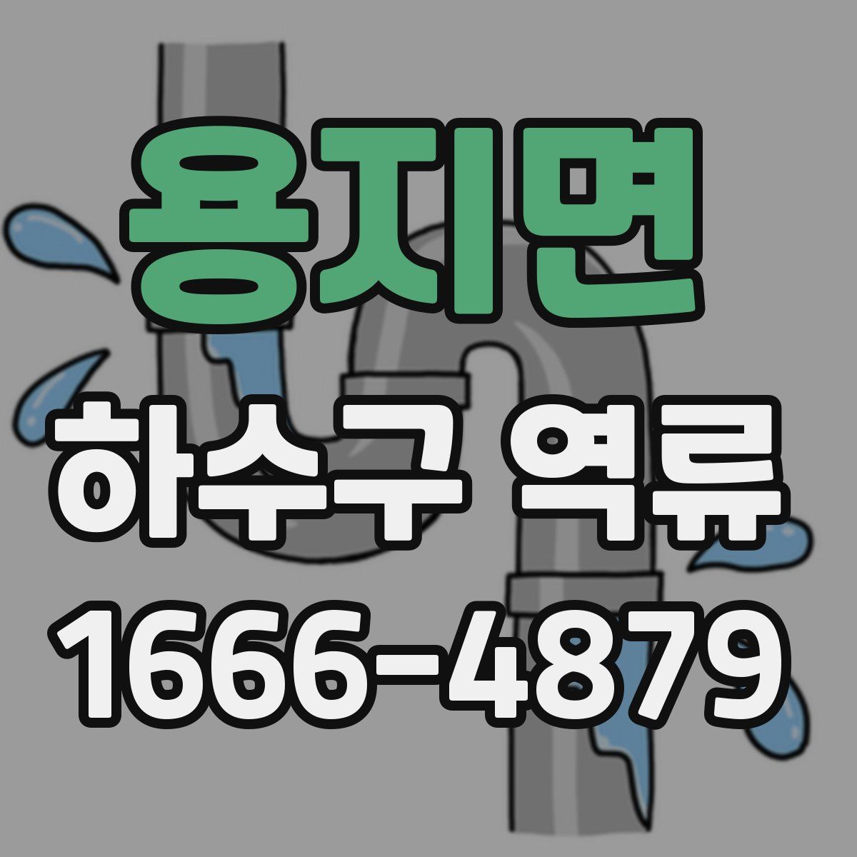 용지면 하수구 역류