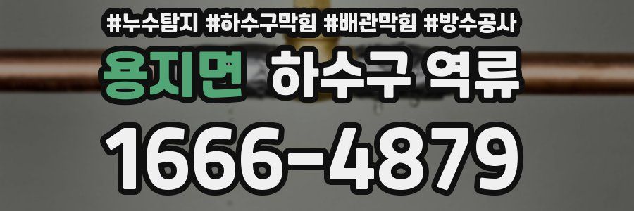 용지면 하수구 역류