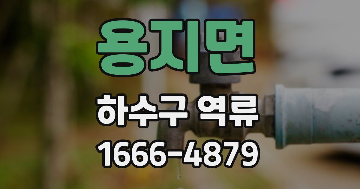 용지면 하수구 역류