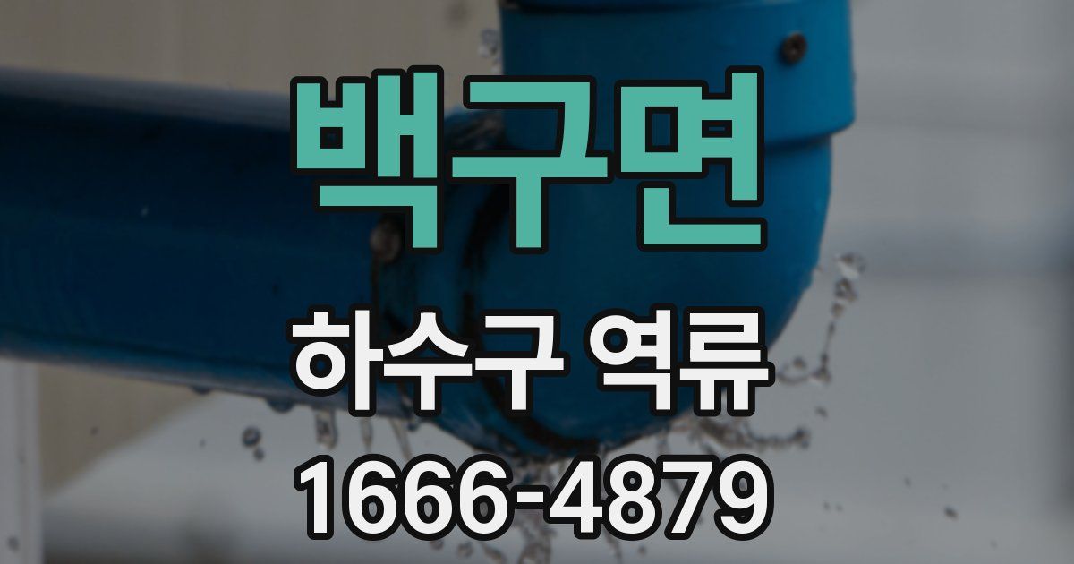 백구면 하수구 역류