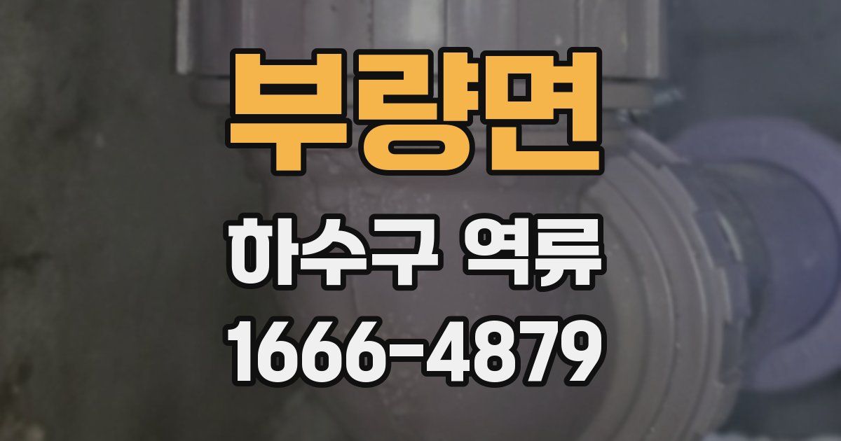 부량면 하수구 역류