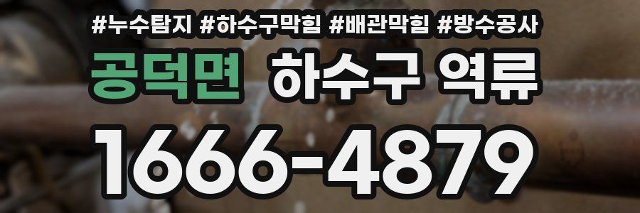 공덕면 하수구 역류