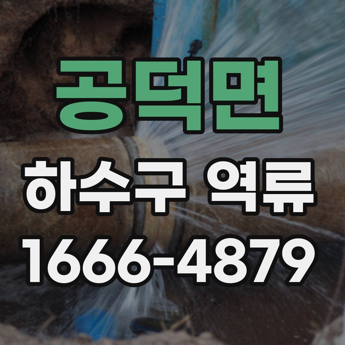 공덕면 하수구 역류