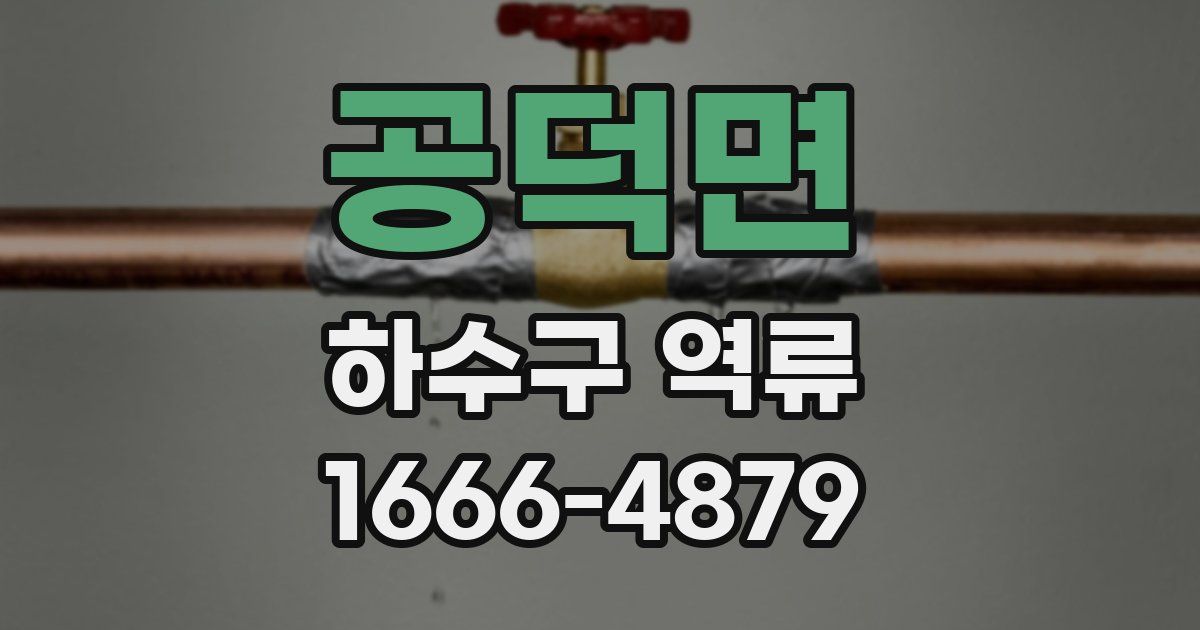공덕면 하수구 역류