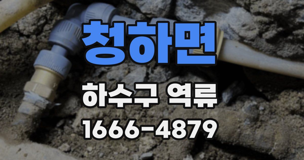 청하면 하수구 역류