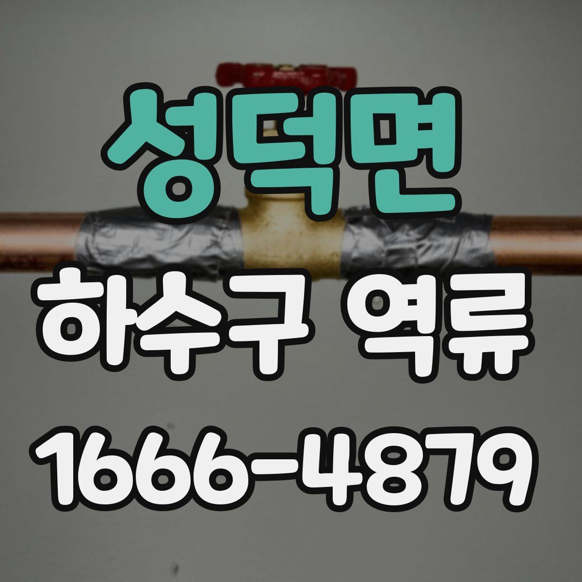 성덕면 하수구 역류