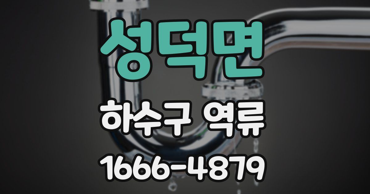 성덕면 하수구 역류