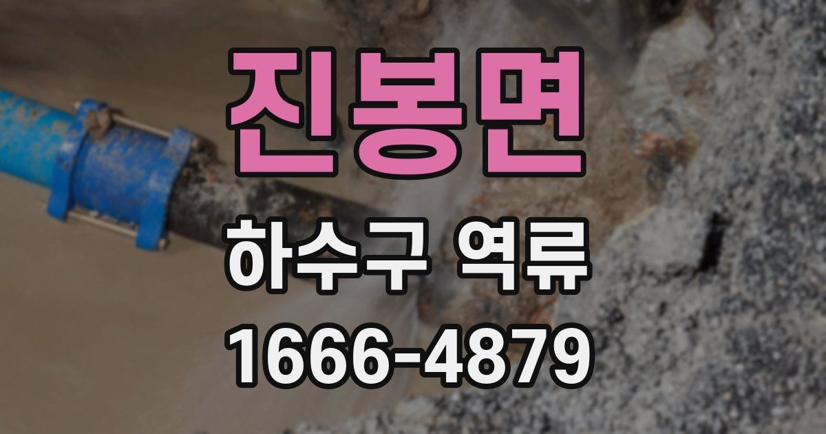진봉면 하수구 역류