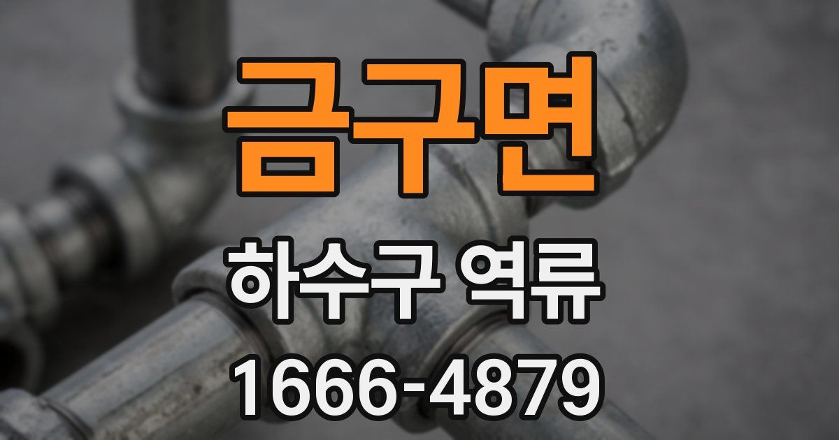 금구면 하수구 역류