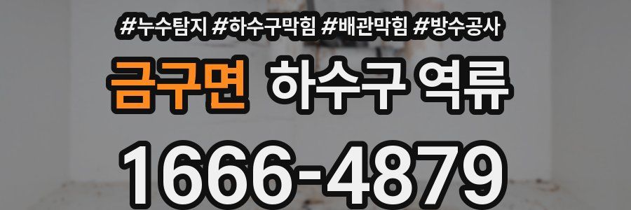 금구면 하수구 역류