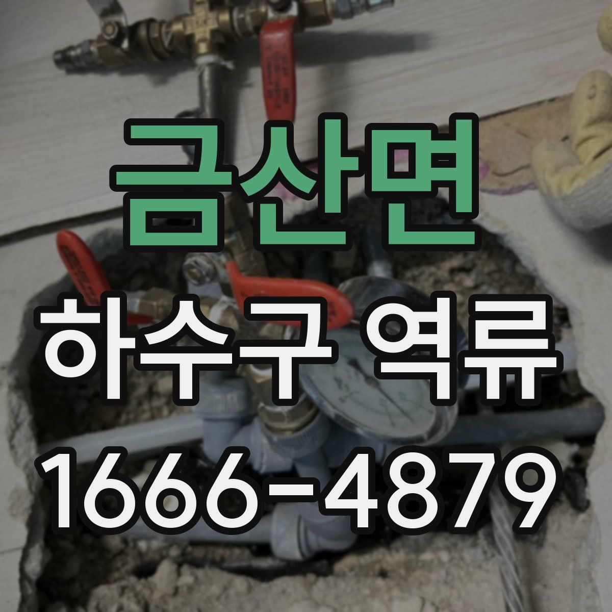 금산면 하수구 역류