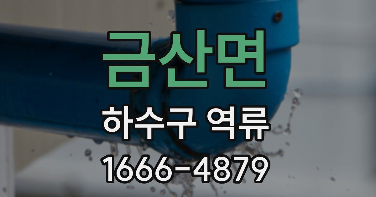 금산면 하수구 역류
