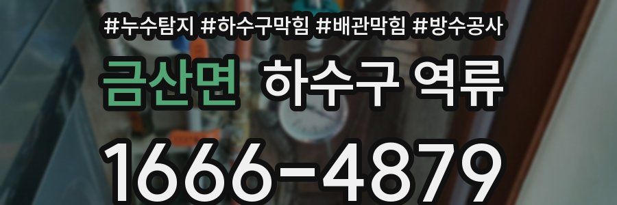 금산면 하수구 역류