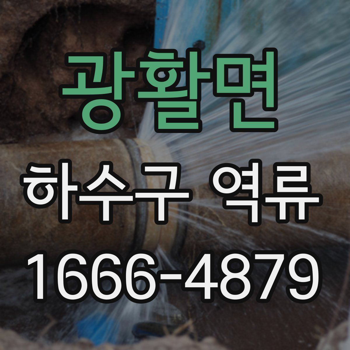 광활면 하수구 역류