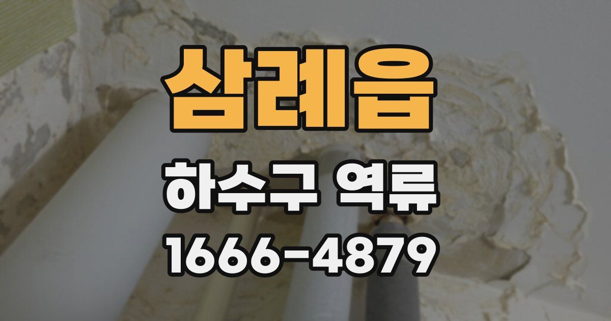 삼례읍 하수구 역류