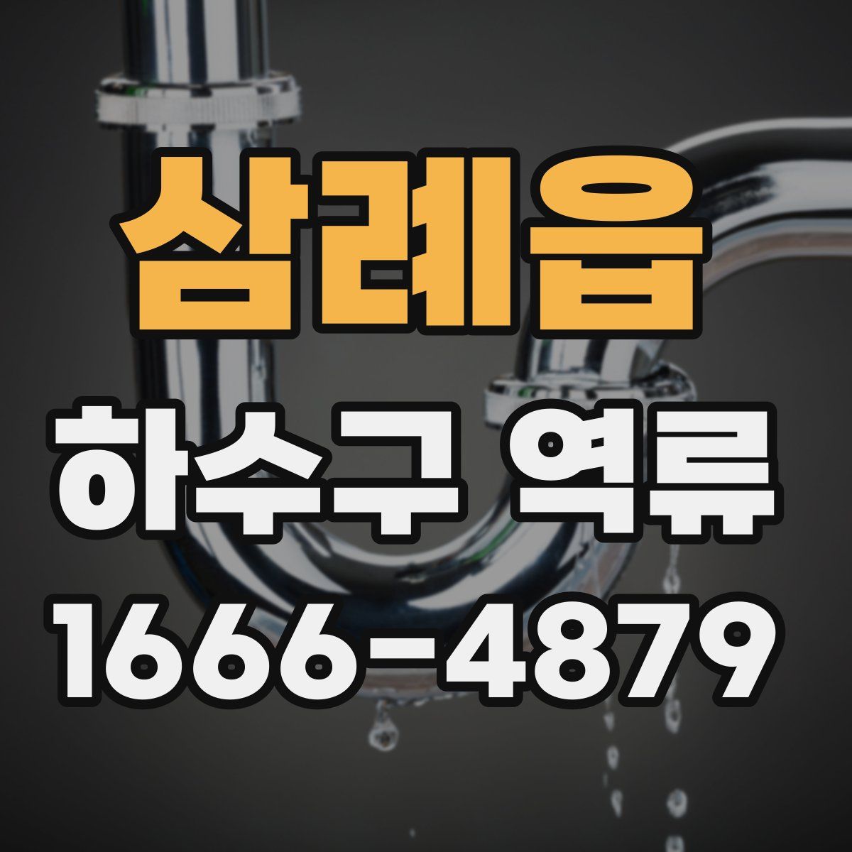 삼례읍 하수구 역류