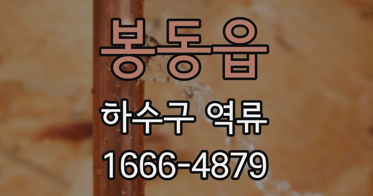 봉동읍 하수구 역류