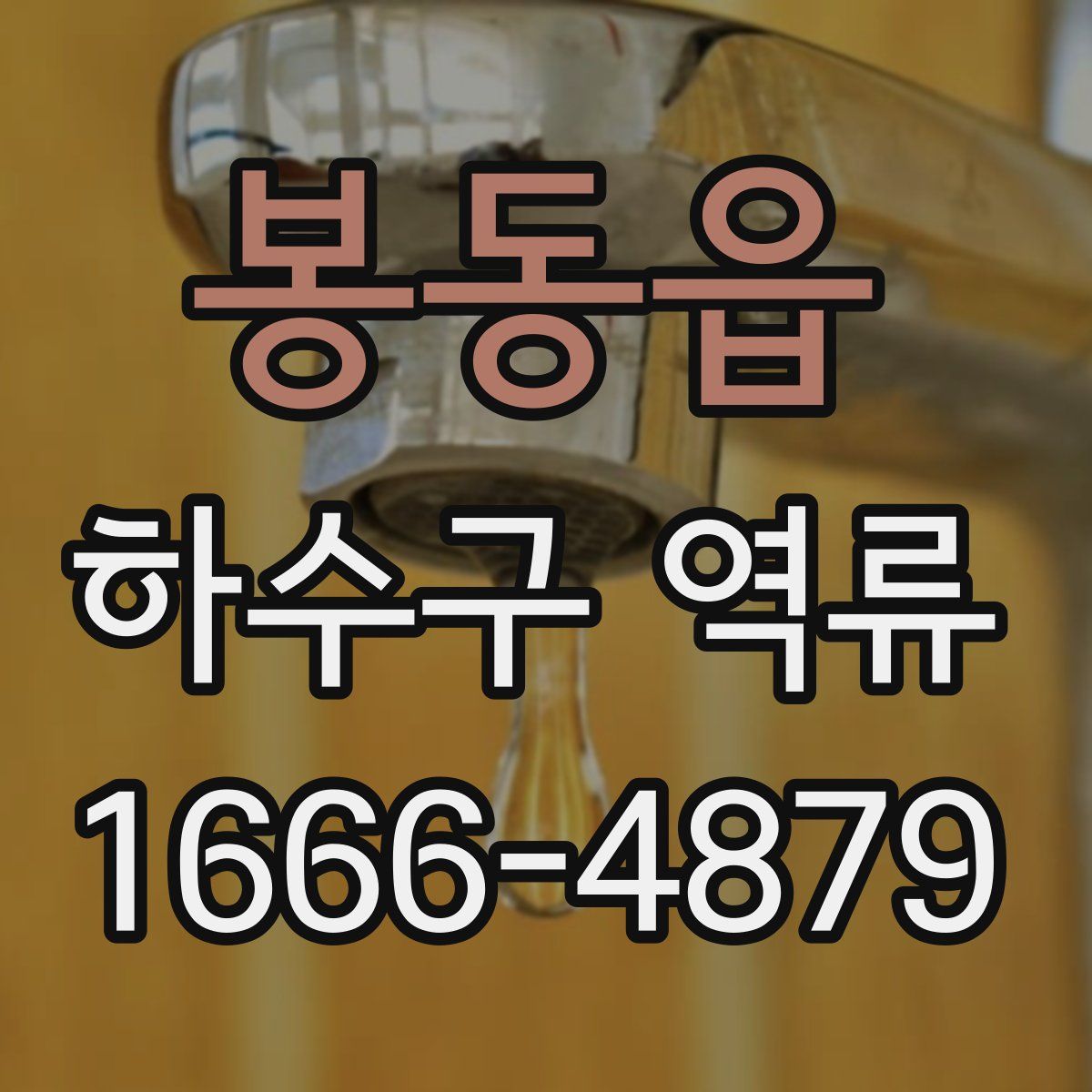 봉동읍 하수구 역류
