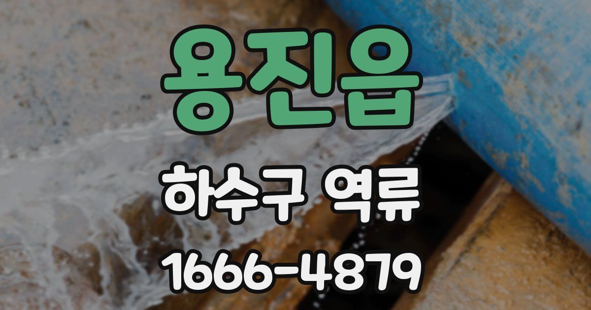 용진읍 하수구 역류