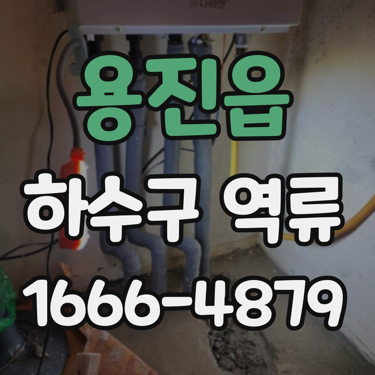 용진읍 하수구 역류