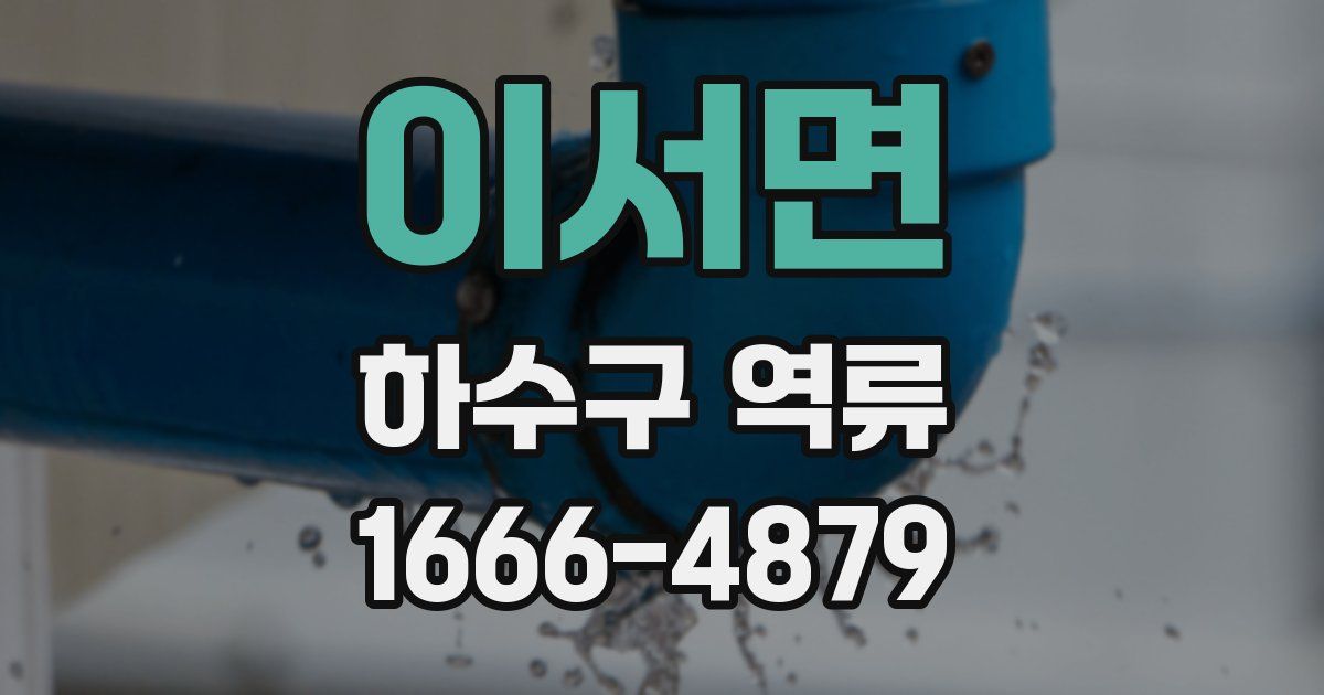 이서면 하수구 역류