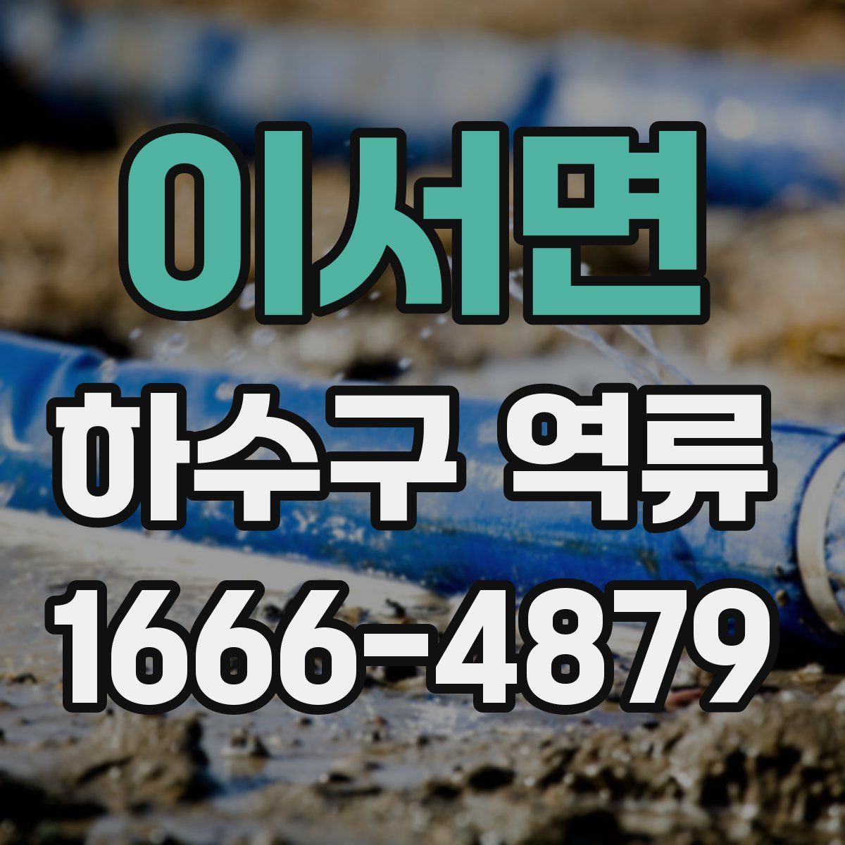 이서면 하수구 역류