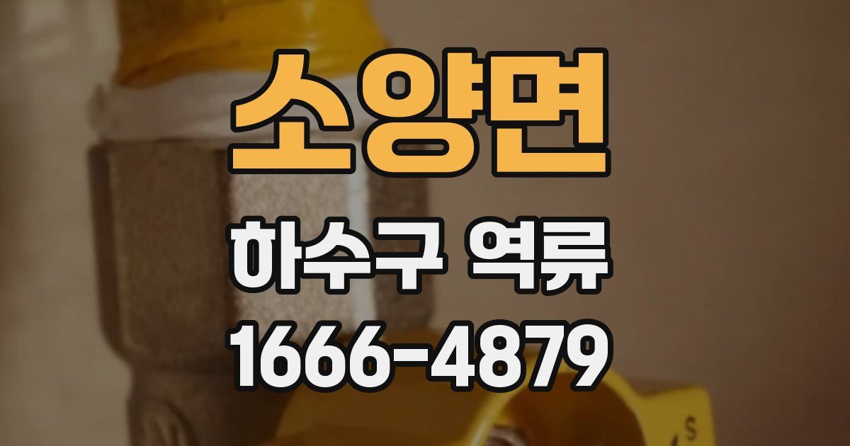 소양면 하수구 역류