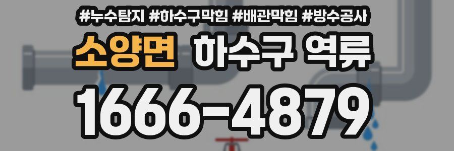 소양면 하수구 역류