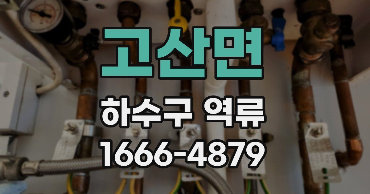 고산면 하수구 역류